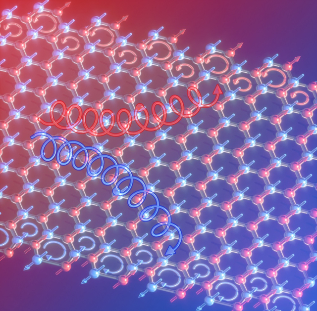이번 연구를 통해 최초로 발견된 2차원 반강자성체의 마그논 오비탈 홀 효과와 그로 인한 마그논 오비탈 축적을 보여주는 모식도. KAIST 제공