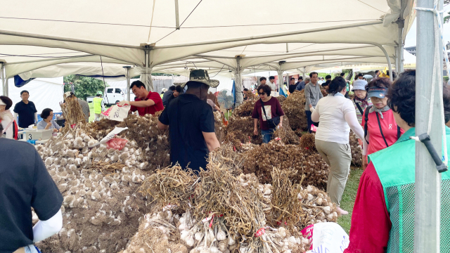 지난해 7월 7~9일 해미읍성 일원에서 열린 제14회 서산6쪽마늘 축제. 서산시 제공