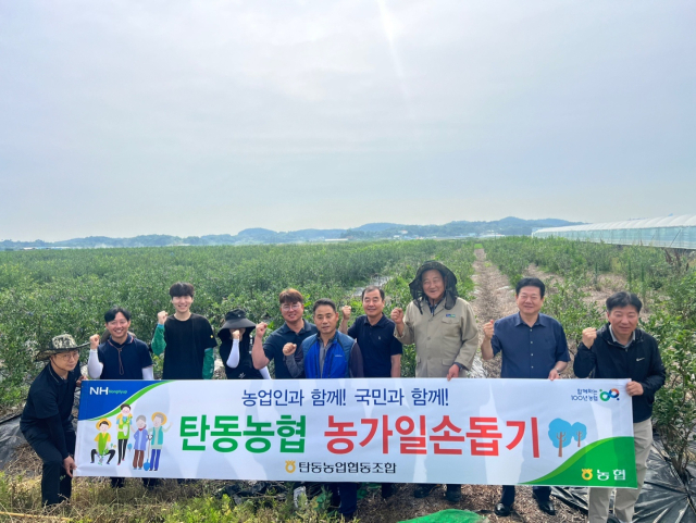 지난달 26일과 27일 이틀 동안 진행된 대전 탄동농협 농촌일손돕기 행사 사진.대전 농협 제공