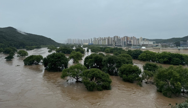 10일 밤 사이 내린 폭우로 갑천이 범람하면서 하천과 일대 도로 등이 물에 잠겨 있다. 사진=독자제공