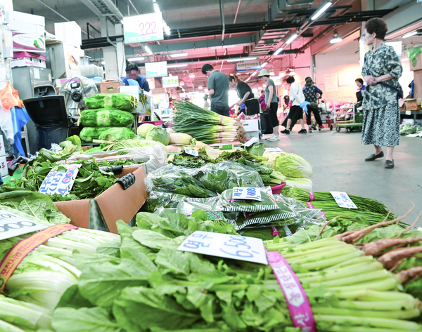 ▲ 장마철 집중호우 영향으로 상추와 배추 등 농산물 가격이 오른 가운데 13일 대전 대덕구 오정농수산물도매시장에서 시민들이 채소류를 살펴보고 있다. 김주형 기자 hyoung99.cctoday.co.kr