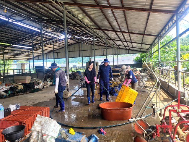 대전 회덕농협 임직원들이 15일 충남 금산군 복수면 수영리 농가에서 수해 복구 활동을 진행하고 있다. 대전농협 제공