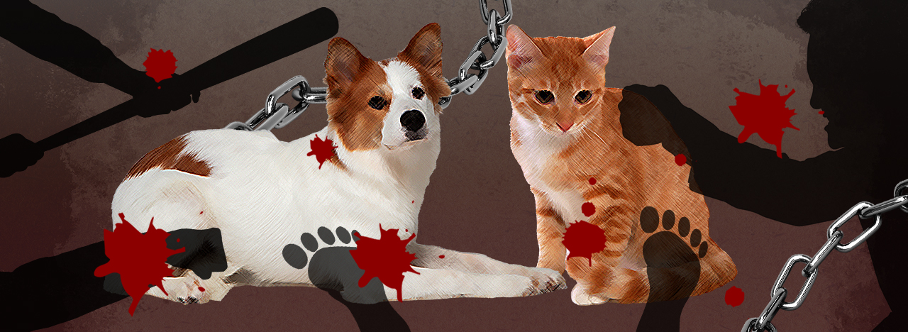 동물학대. 그래픽=김연아 기자.