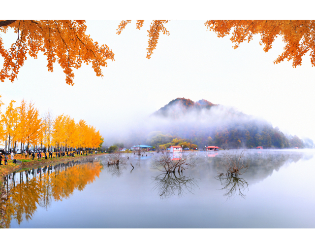 금상 수상작 조재갑 ‘양곡지 물안개’