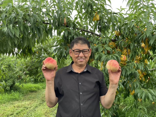 옥천군 제12대 복숭아왕에 장현철(옥천읍 삼청리) 씨가 선정됐다.(사진/옥천군 제공)