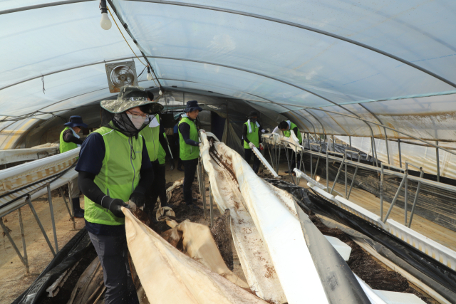 서산시와 태안군 지역 농축협 임직원들은 26일 논산시 연무읍 호우피해 농가를 찾아 수해복구 봉사활동을 펼쳤다. 충남세종농협 제공.