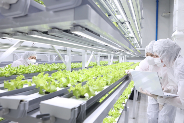연암대학교가 최근 교육부의 ‘국고 재정지원사업 연차평가’에서 3개 사업이 최우수 등급에 선정됐다. 사진은 대학 내 스마트팜 수직농장 실습 현장 모습. 연암대 제공.