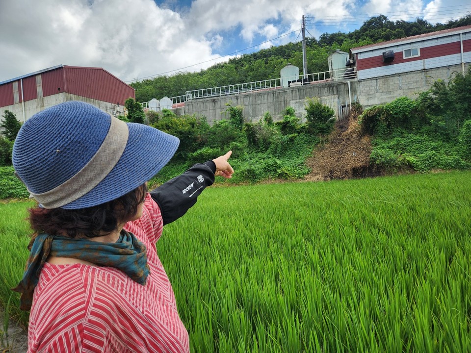 충남 홍성 결성면에서 발생한 가축분뇨 유출사고 피해를 입은 김득례 씨가 가축분뇨 유출 지점을 가리키고 있다. 사진=김지현 기자 wlgusk1223k@cctoday.co.kr