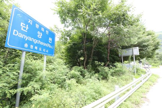 단양천 표지판[김형우 촬영] 사진=연합뉴스. 