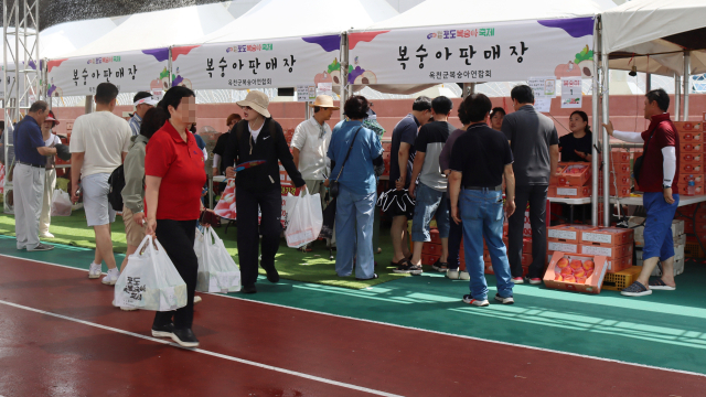 여름철 대표 과일 축제인 제15회 향수옥천 포도·복숭아 축제가 달콤한 맛과 향기를 남기며 성황리에 마무리됐다.(사진/옥천군 제공)