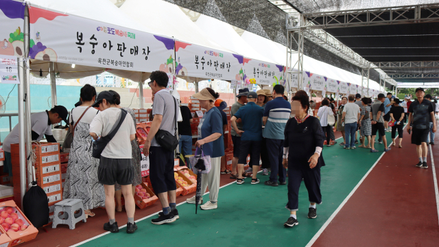여름철 대표 과일 축제인 제15회 향수옥천 포도·복숭아 축제가 달콤한 맛과 향기를 남기며 성황리에 마무리됐다.(사진/옥천군 제공)