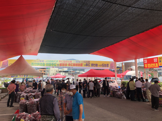 음성청결고추 직거래장터가 오는 10월까지 2일과 7일 음성 5일 장날에 맞춰 음성읍 하상 주차장에서 정기적으로 열린다. 음성군 제공