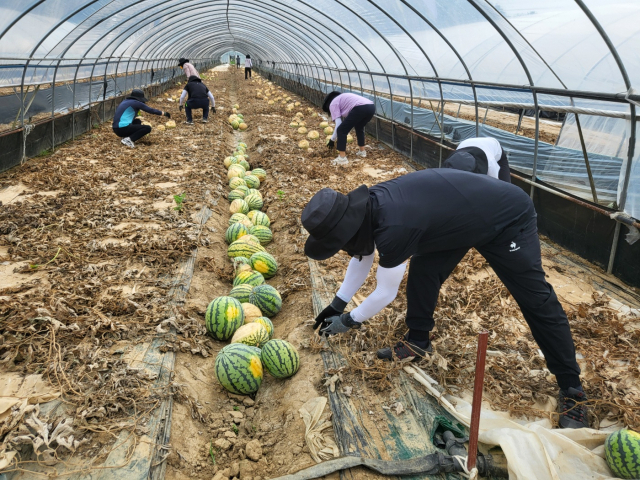 수해복구 완료 부여군제공