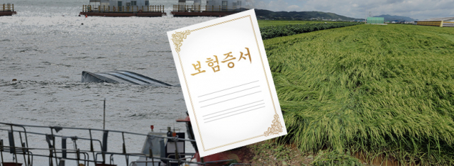 보험 = 충청투데이 그래픽팀.