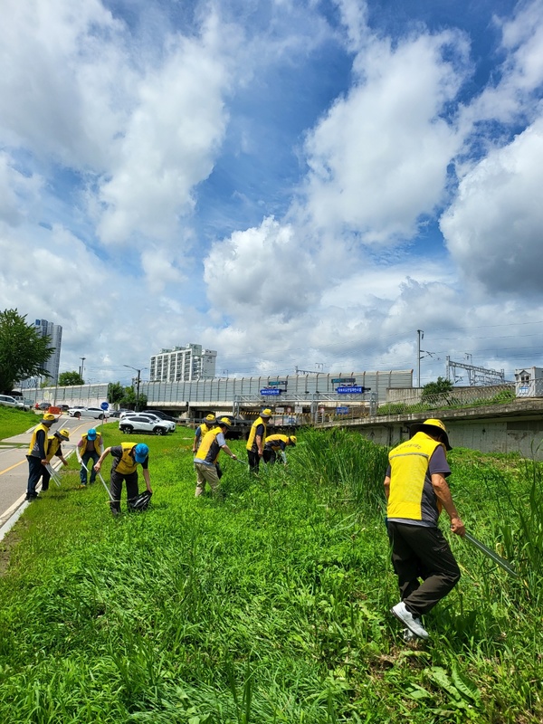 ▲ 천안시노인회 지우회봉사단(단장 박상옥) 어르신 20명은 지난달 17일 천안천 일원에서 쓰레기 줍기 및 자연보호 캠페인 봉사활동을 펼쳤다.  노인회 천안시지회 제공