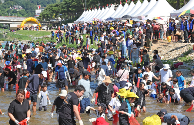 괴산고추축제 ‘고추물고기를 잡아라’ 프로그램 모습. 괴산군제공