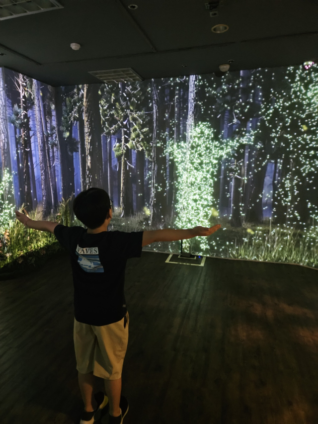 미디어아트 반딧불 체험 사진. 대전문화재단 제공