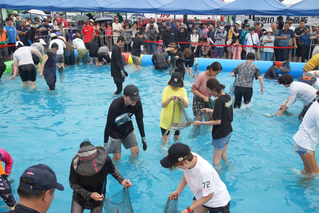 지난해 8월 26~27일 열린 삼길포우럭축제 모습. 서산시 제공