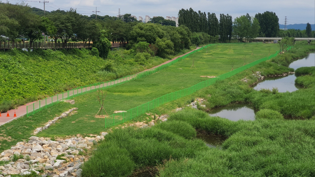 진천 제1 파크골프장 전경. 진천군 제공