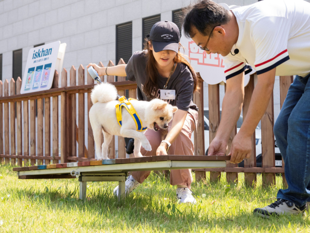 흥미진진 펫토리투어에 참가한 견주와 반려견이 함께 잔디밭에서 즐거운 시간을 보내고 있다. 음성군 제공