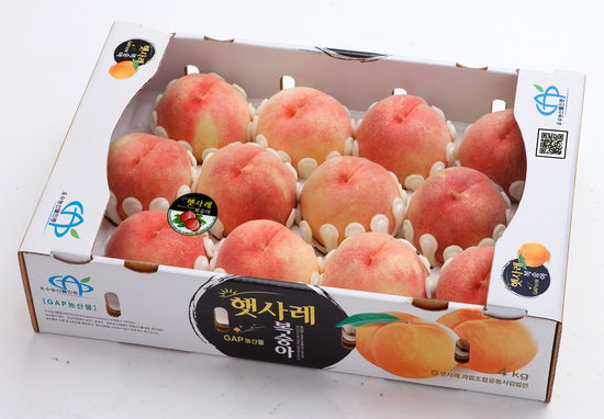 뀨농원 햇사레 복숭아. 뀨농원 제공