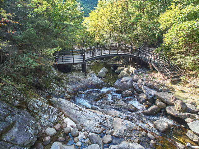 단양군의 지질명소 중 다리안 계곡 모습. 단양군 제공