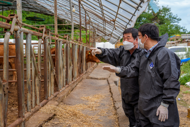 이재영 증평군수가 지난 16일 긴급방역대책회의 소집에 앞서 27마리가 집단 폐사한 지역의 한우 농가를 찾아 피해 상황을 점검하고 있다. 증평군 제공