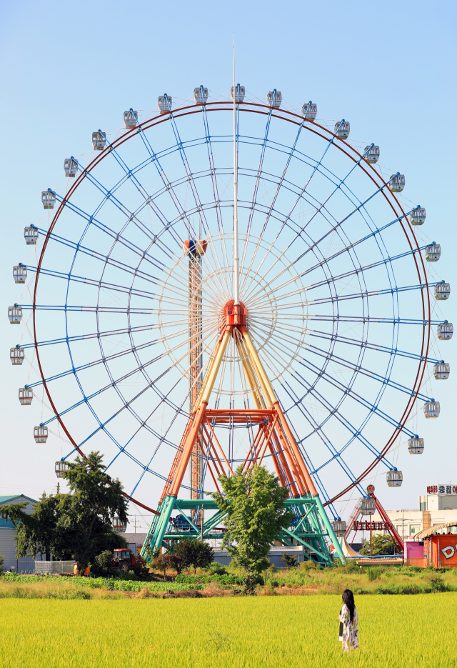삽교호 관광지 논뷰. 사진=당진시 제공