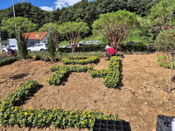 청원생명축제 개막이 일주일 앞으로 다가온 가운데 축제 관계자들이 막바지 꽃밭 조성에 구슬땀을 흘리고 있다. 청주시 제공