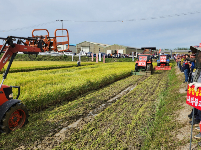 쌀값 폭락에 분노한 충주시 11개 농업인 단체 소속 300여 명의 회원들은 이날 궐기대회에서 수확을 코앞에 둔 2,100㎡ 규모의 논을 30대의 트랙터로 갈아엎는 시위를 진행했다.사진=충청투데이DB