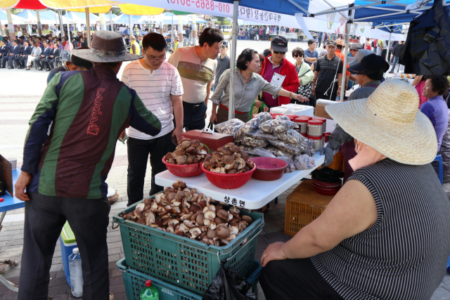 지난 2023년 제8회 상촌 자연산 버섯 음식거리 축제 현장 모습이다.