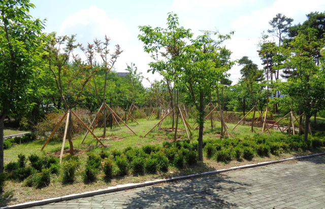 2023년 완료된 기후대응 도시숲 조성 사업(오토밸리일반산업단지). 서산시 제공