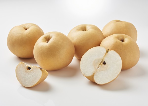 아이클릭아트 제공. 