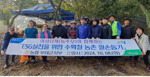 은산면에서 ESG실천을 위한 수확철 일손돕기 농협부여군지부제공