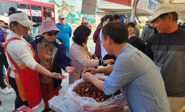 2024 보은대추축제가 보은군 뱃들공원과 속리산 일원에서 11일부터 20일까지 개최된다.(사진/보은군 제공)