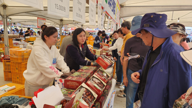 보은군은 지난 11일 개막한 2024 보은대추축제가 주말을 포함한 3일간 전국에서 찾아온 관광객들로 축제장이 인산인해를 이루며 명불허전 명품 축제임을 다시 한번 증명하고 있다고 밝혔다.(사진/보은군 제공)