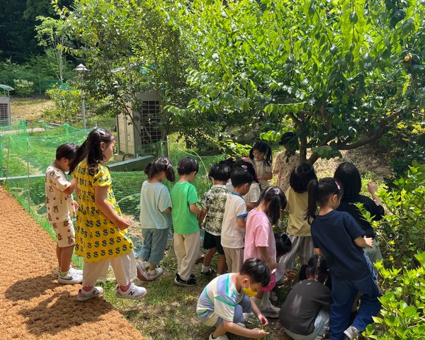 ▲ 논산계룡성모유치원 유아들이 텃밭 가꾸기 활동을 하고 있다.  논산계룡성모유치원 제공