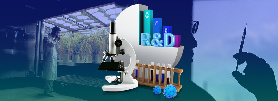 R&D. 그래픽=김연아 기자.