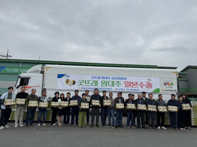 굿뜨래 왕대추 일본 수출 농협부여군지부제공