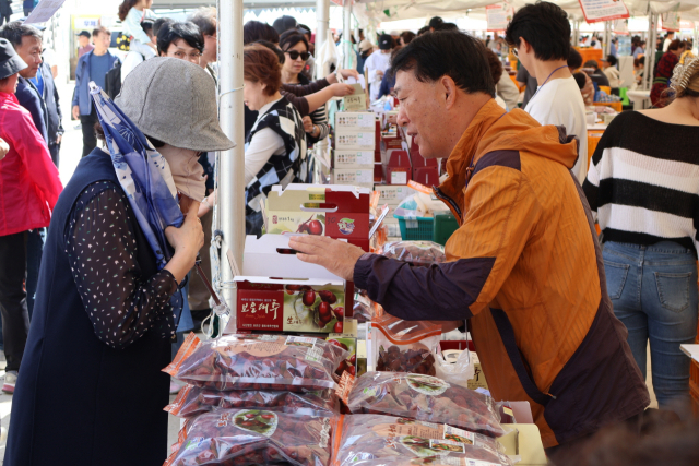 2024 보은대추축축제가 10일간 즐거운 여정의 막을 내렸다.(사진/보은군 제공)
