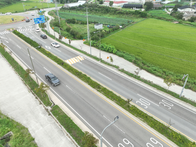 예산군이 내포제2진입도로 가로수를 주변환경에 맞는 반송과 직립 느티나무로 새롭게 꾸민다. 예산군 제공