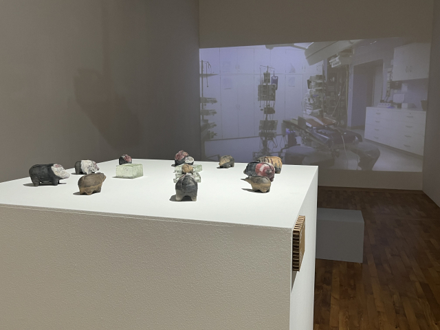 대전시립미술관의 성찰과 재고가 담긴 대전과학예술비엔날레 스핀오프 ‘너희가 곧 신임을 모르느냐’ 전시 섹션 4 전시작. 사진=조정민 기자