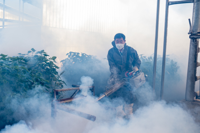 이재영 증평군수가 럼피스킨 차단을 위해 지역의 한 축산농가에서 방역소독을 하고 있다. 증평군 제공