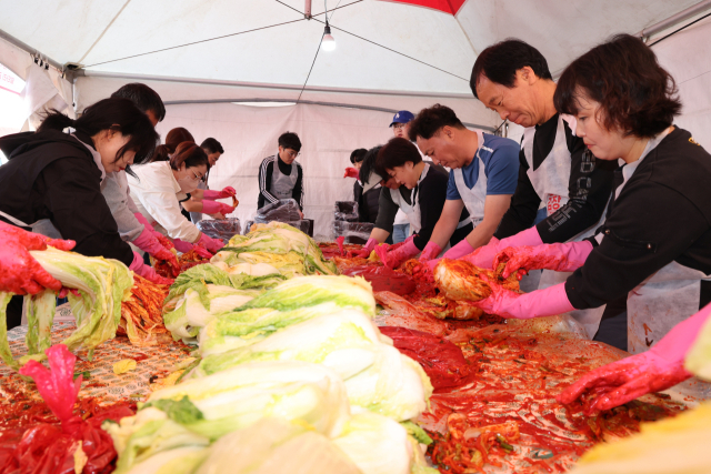 괴산김장축제에서 김장체험이 진행되고 있다. 괴산군 제공
