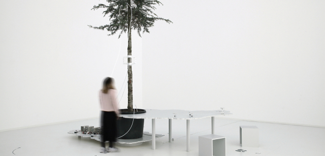 아그네스 마이어-브란디스 Agnes Meyer-Brandis_원 트리 아이디 One Tree ID_2019. 작가제공