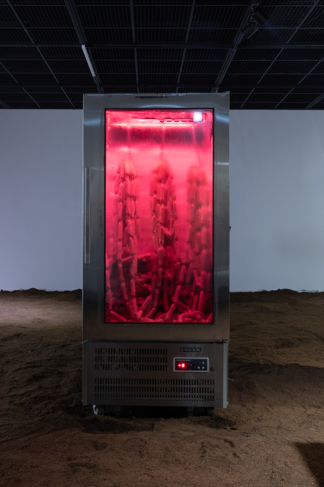 신재은 Shin Jae-Eun_이것은 나의 몸 This is My Body_2023.작가제공