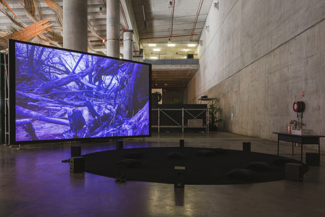 헤인즈&힌털딩 Haines&Hinterding_핑크 스팀 Pink Steam_2022.작가제공