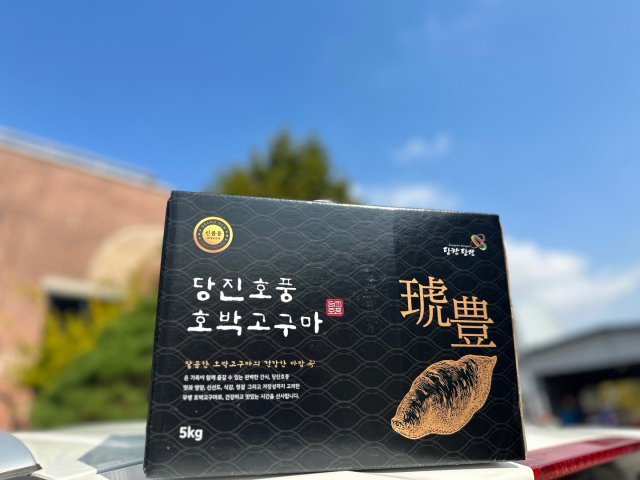 호풍 고구마. 사진=당진시 제공