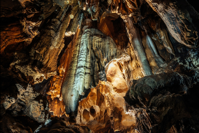 단양군의 천연동굴은 추운 날씨 속에서도 영상 15도를 유지하고 있어 늦가을과 겨울 안성맞춤인 휴식처로 안성마춤이다. 사진은 고수동굴 사자바위 모습. 단양군 제공