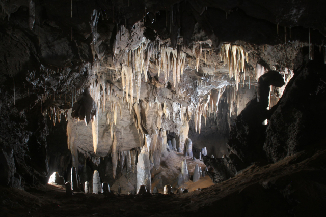 단양군의 천연동굴은 추운 날씨 속에서도 영상 15도를 유지하고 있어 늦가을과 겨울 안성맞춤인 휴식처로 안성마춤이다. 사진은 4억 5000만년을 품은 온달동굴 모습. 단양군 제공